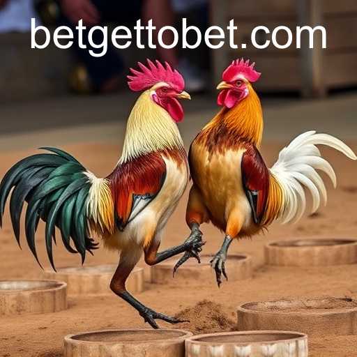 Exploring the Intricate World of Sabong Games